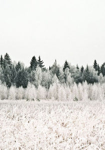 HYGGE | A Danish Philosophy