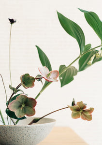 What is Ikebana?
