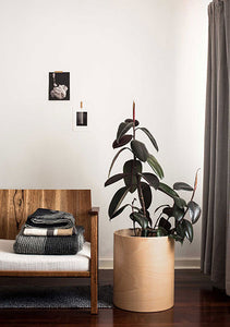 Introduce indoor plants with the Plyroom Flor planter