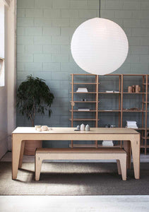 The Plant Society | Indoor Plants