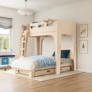 Dream Cloud Loft Bed